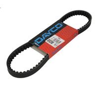 Drive bel DAYCO DAY7163 for Gilera Storm 50 1994-1994
