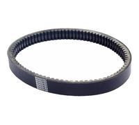 Drive Belt Compatible With Codlice EPCOUR040, BD522167, BD522177, EPCOUR041, IXO, and Similar Models