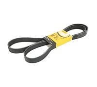 DRIVE BELT Drive Belt 8PK1955