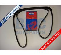 Drive Belt Fits Ford Transit Connect 1.8 Di/TdciA/C 2002-2013