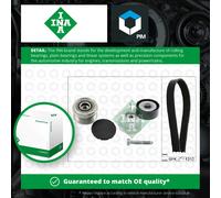 Drive Belt Kit 529050620 INA Set 1638098480 46819146 46820063 46823547 46835095