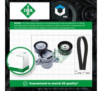 Drive Belt Kit fits BMW X4 F26 2.0D 14 to 18 B47D20A Set INA 1247284 1247986 New