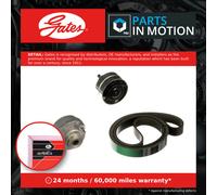 GATES K017PK1753HD V-Ribbed Belt Set