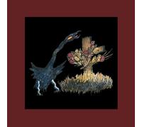 Drive-By Truckers - The Definitive Decoration Day [VINYL]