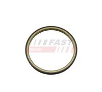 Drive Dynamics Control FAST FT30201 for IVECO