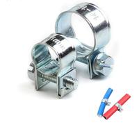 Drive Hose Clamps 10Pcs Mini Clamp Diesel Petrol Pipe Clips Fuel Injection Air Assortment Kit(10-12mm)