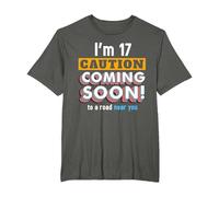 Driving Lessons Learner Driver 17th Birthday Im 17 Today T-Shirt, Men's Big and Tall, Asphalt Grey, 2X Tall