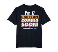 Driving Lessons Learner Driver 17th Birthday Im 17 Today T-Shirt, Men's Big and Tall, Black, 4X Tall