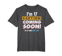 Driving Lessons Learner Driver 17th Birthday Im 17 Today T-Shirt, Men's Big and Tall, Dark Heather Grey, 6X Tall