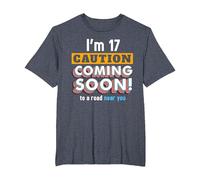 Driving Lessons Learner Driver 17th Birthday Im 17 Today T-Shirt, Men's Big and Tall, Heather Blue, 5X Tall