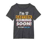 Driving Lessons Learner Driver 17th Birthday Im 17 Today T-Shirt, Women's Plus, Dark Heather Grey, 2X