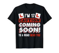 Driving Lessons Learner Driver 17th Birthday Im 17 Today Value Graphic T-Shirt, Men, Black, L