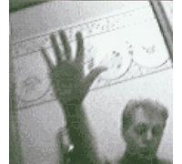 Driving Rain by Paul Mccartney