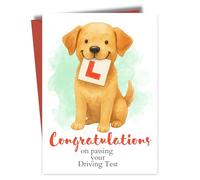 Driving Test Congratulations Card, Dog Pattern, for Him or Her
