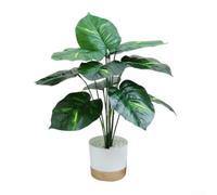 Drivstraw Artificial Tropical Plants Set - 2-Piece Realistic Peace Lily & Monstera in White Ceramic-Look Pots, Low-Maintenance Home and Office Decor, 45 cm Tall