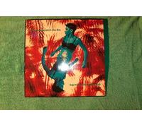 Drizabone - Catch the fire (151 Mix) [VINYL]