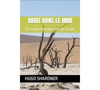 DROIT DANS LE MUR: Le commencement de la fin