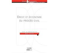 droit et économie du procès civil: SOUS LA DIRECTION DE DANIEL COHEN