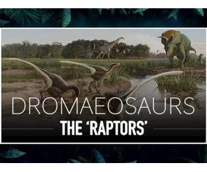 Dromaeosaurs: The Strange Carnivores of The Mesozoic Era