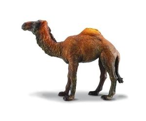 Dromedary Camel-1 Figurine