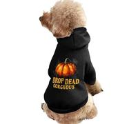 Drop Dead Gorgeous Pet Hoodie Sweatshirt Hooded Dog Cat Pullover Clothes Puppy Costume