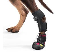 Drop Foot Brace with Reel(No Knuckling Boot Brace) for Dog - Corrective Dog Shoes to Safely Lift Toes for Foot Issues, Arthritis, and improving Walking gait in Dogs(L)