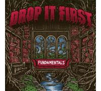 Drop It First - Fundamentals [VINYL]