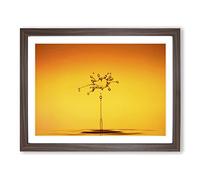 Drop of Water Rain No.3 Modern Framed Print | A2 Walnut Framed Wall Art | Ready to Hang | Modern Landscape Picture | Living Room Bedroom Lounge Office