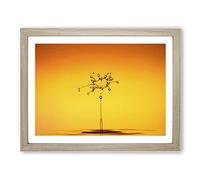 Drop of Water Rain No.3 Modern Framed Print | A3 Oak Framed Wall Art | Ready to Hang | Modern Landscape Picture | Living Room Bedroom Lounge Office