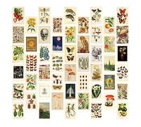 Dropfree 50Pcs Vintage Wall Collage Kit Mini Aesthetic Pictures Botanical Collage Art Posters Wall Art Prints Room Decor (4X6Inch)