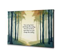 DRPZ Bathroom Art Wall Decor You Can'T Change The Past, But Can The Future Canvas Decorative Picture Easter Decorations Bathroom Decor(30x40cm)