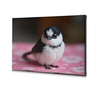 DRPZ Coastal Wall Art Flowers On Pink Fabric Canvas Decorative Picture Easter Decor Decorative Plates(40x60cm)