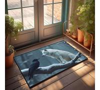 DRPZ Fall Door Mats For Outside Entry A White Wolf And A Black Crow Sit On A Snowy Branch Doormat Unique Door Mats Indoor Entrance Welcome Mats Funn(50X80CM)