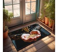 DRPZ Fall Floor Mat Outdoor Hands Holding Glittering Gold Coins Doormat Funny Door Mats Outdoor Desk Floor Mat(50X80CM)