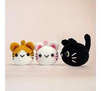 Drqzwp 3 Pack Cute Kitten Kit for Beginners, Cat Crochet Starter Kit for Beginners Adults with Step-by-Step Video Tutorials Crochet Yarns and Knitting Accessories for DIY Craft Handmade