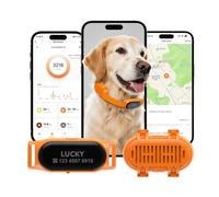 DRRI Dual-Band L1+L5 GPS & AGPS Dog Tracker, 4G Pet Tracker, Anti-Drift Geofence Alert Device, Preloaded SIM Card, 1-Year Data Plan, Smart APP, IP66 for Medium & Large Dogs