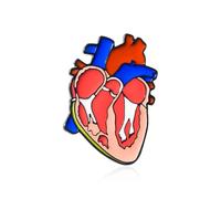 Dr's gift Anatomical Enamel Pins Medical Organ Pin Science Brooch Lapel Badges Jewelry Gifts for Doctor Nurse Biologists, M, Zinc, no gemstone