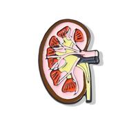 Dr's gift Anatomical Enamel Pins Medical Organ Pin Science Brooch Lapel Badges Jewelry Gifts for Doctor Nurse Biologists, M, Zinc, no gemstone