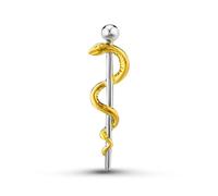 Dr's gift Caduceus Brooch Medical Symbol Pin RN Lapel Badge Jewelry for Nurses Doctors Healthcare Professionals Nursing Pins for Pinning Ceremony
