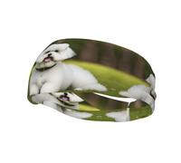 Drtgeds Cute Bichon Frise Dog Print Yoga Hairbands,Sports Sweatband Breathable, Adjustable, Moisture Wicking Headbands