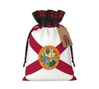 DRTGEDS Florida Flag, 1 Christmas Drawstring Gift Bag 8.3 x 11.8 inch, for Holiday Party Gift