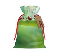 DRTGEDS Funny Ladybug 1 Pcs Christmas Drawstring Gift Bag 4.7 x 6.9 Inches for Holiday Party Gift