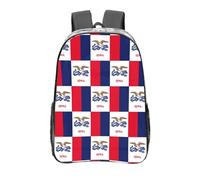 DRTGEDS Iowa State Flag Clear Backpack, Clear Bag Made of PVC, Suitable for Sporting Events, Concerts, Outdoor and Indoor, transparent, One Size, Travel Backpacks