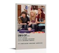 DRU I WQBRBH Sam & Cat Aesthetic Wall Art Poster for Living Room Bedroom Decorative Painting Cover Print 20x30inch(50x75cm) Frame-style