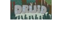 Druid Steam Key GLOBAL