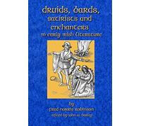 Druids Bards Satirists And Enchanters: In Early Irish Literature
