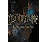 Druidstone: The Secret of the Menhir Forest Steam Key GLOBAL