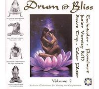 Drum & Bliss 2 (Various Artists) [VINYL]