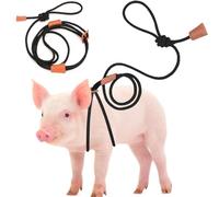 Drunhan Mini Pig Harness & Leather, Pet Pig Supplies, Adjustable Rope (9 inches Long -1/2 inches Diameter), Suitable for Small and Medium-Sized Pet Pigs(Black)