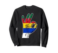 Druze,Druze flag,Druze symbol,As Suwayda,Syria,Lebanon. Sweatshirt